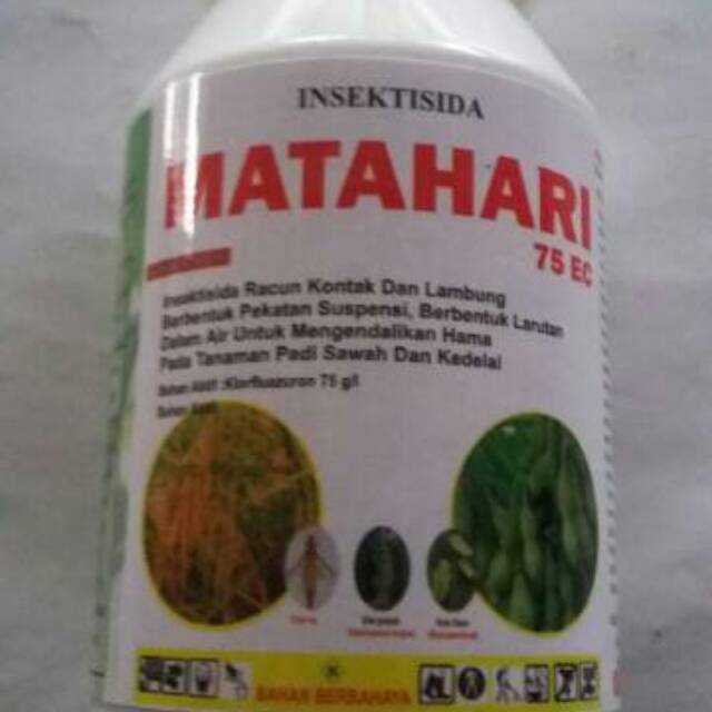 Insektisida padi dan kedelai / obat hama padi / obat hama kedelai