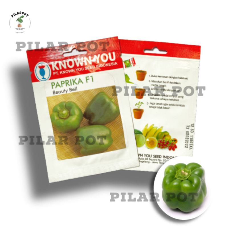 Benih bibit PAPRIKA F1 BEAUTY BELL known you seed - KYS BEAUTY BELL