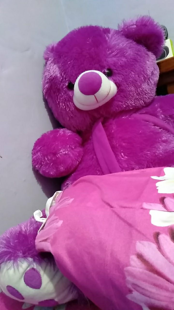 Kamper Besar / Kamper Toilet