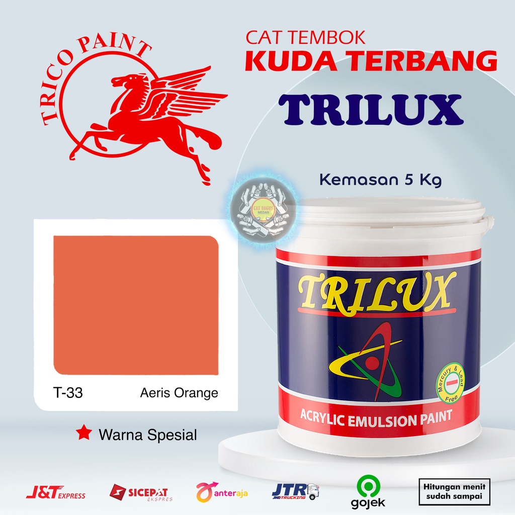 CAT AIR CAT TEMBOK DINDING TRILUX KUDA TERBANG 5 KG WARNA SPESIAL T-33 AERIS ORANGE T33 TANGERINE PE