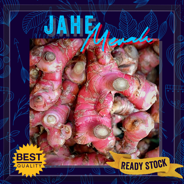 

JAHE MERAH / FRESH RED GINGER Per 100 gram BUMBU DAPUR