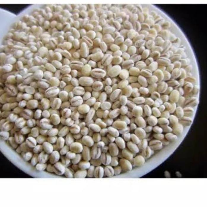 

Limited - 1KG Barley | Jali-jali | imi | ibi | Jelai | Hanjeli | Jali | Kacang Jali | Jali jali Kemasan Vacum TerTanpa Kutu ✓
