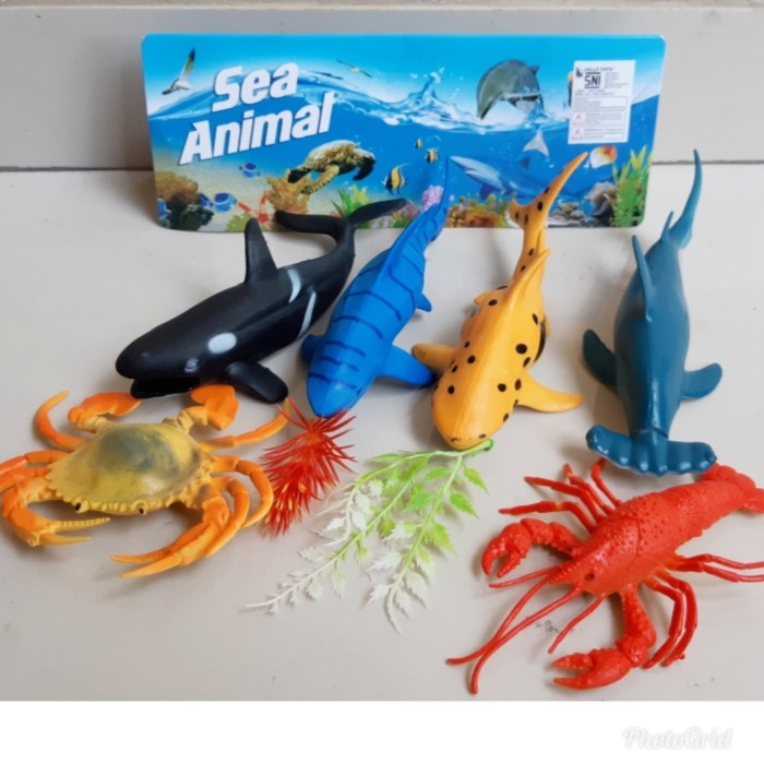 Hot Sale Mainan Miniatur Hewan Laut Animal Sea Besar - Mainan Hewan Laut Terbaru