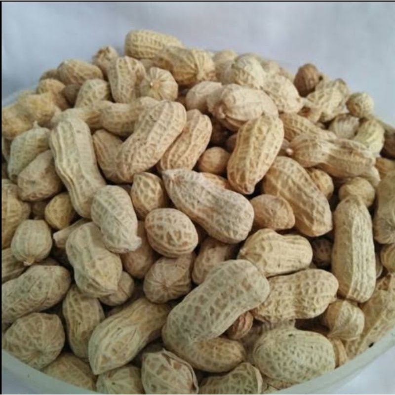 

Cemilan kacang kulit asin tersedia kemasan 500gr dan 1kg