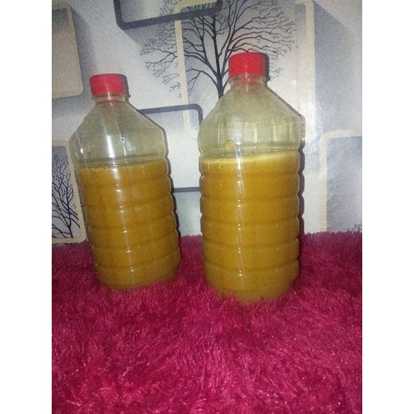 

madu kaliandra 1kg madu hutan madu asli madu murni madu ahmadhoney