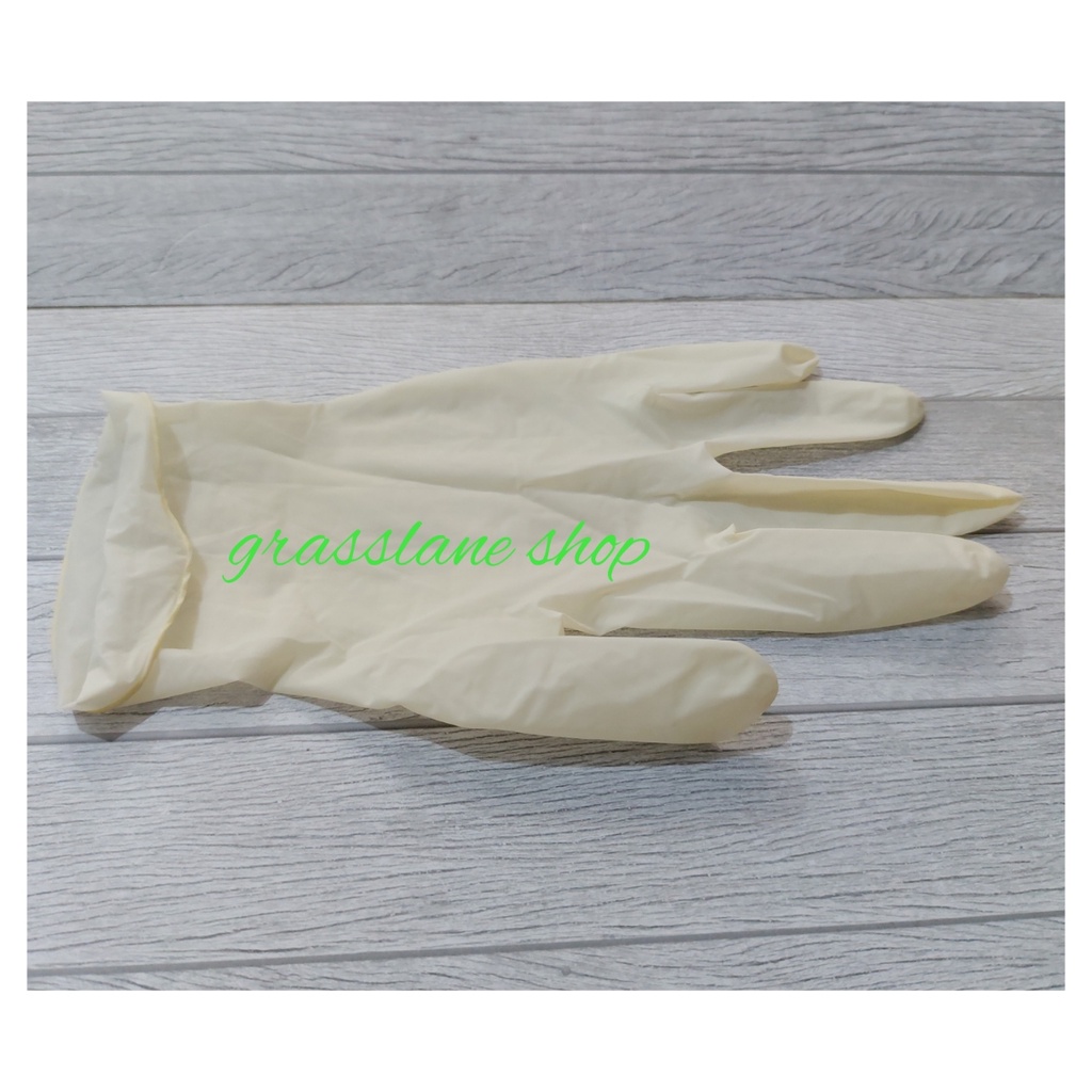 Safeguard Glove Sarung Tangan Latex Gloves 100 pcs Powdered