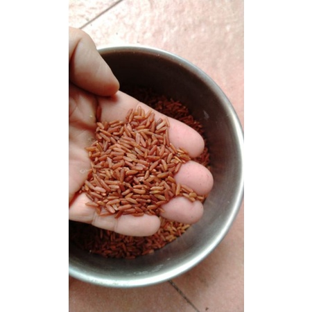 

Beras Merah