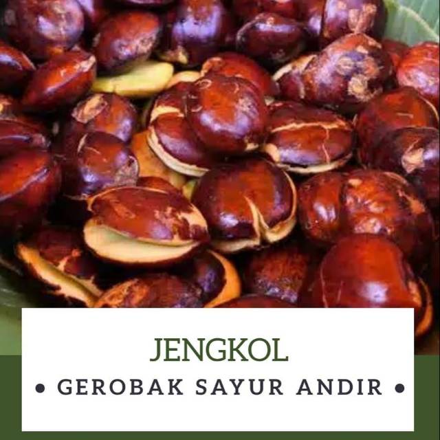 

Jengkol /500gr