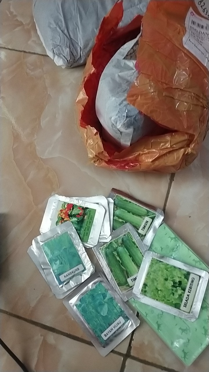 200 Biji Benih Kangkung Bangkok Cap Panah Merah