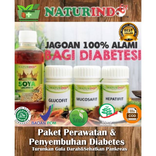 

Paket Herbal Diabetes, Gula, Kencing Manis