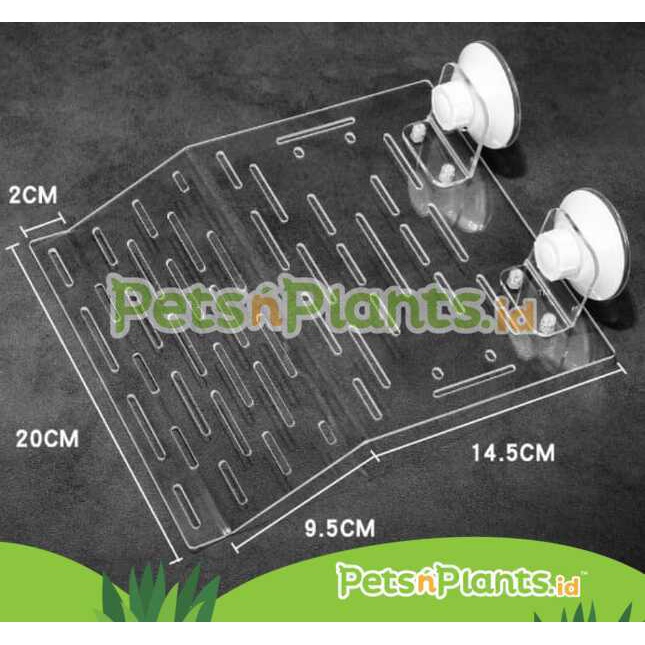 Tempat Berjemur Kura Kura Air Brazil Akrilik Import Crystal Clear PnP - Turtle Acrylic Basking Spot