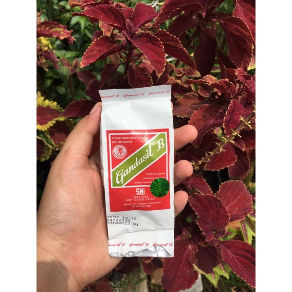 Pupuk Buah dan Bunga Gandasil B