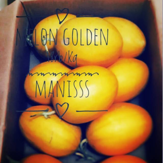 

Melon Golden