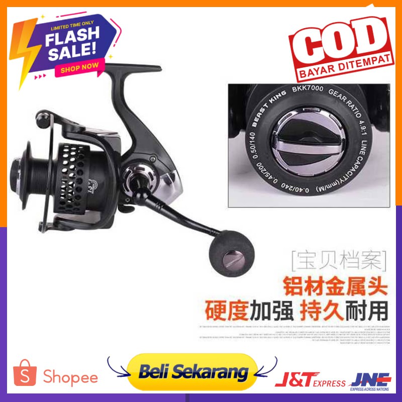 Beast King Reel Pancing BKK3000 13+1 Ball Bearing