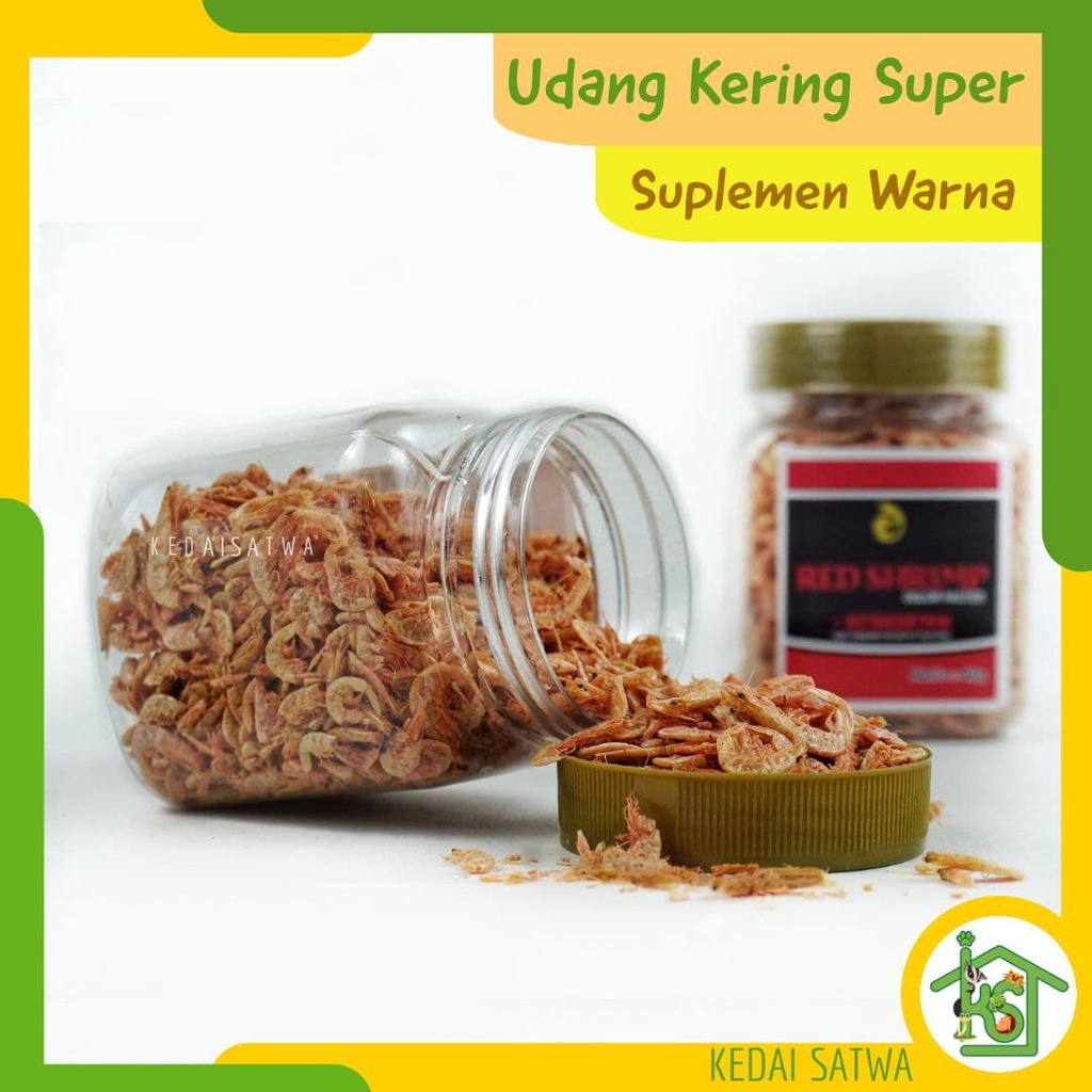 Udang Kering Pakan Ikan Channa Maru Yellow Sentarum Auranti Limbata Pulchra Oscar Tiger Batik Albino