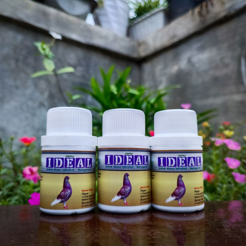 Ideal Baron Jamu merpati pil merpati pil baron pil ideal pills pils