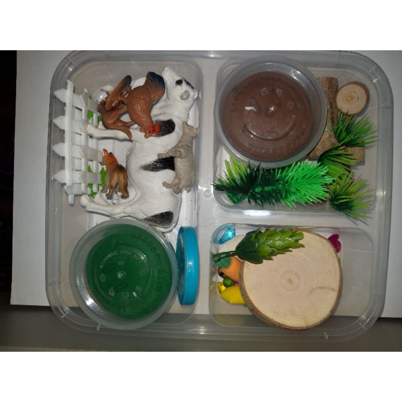 Playdough Kit