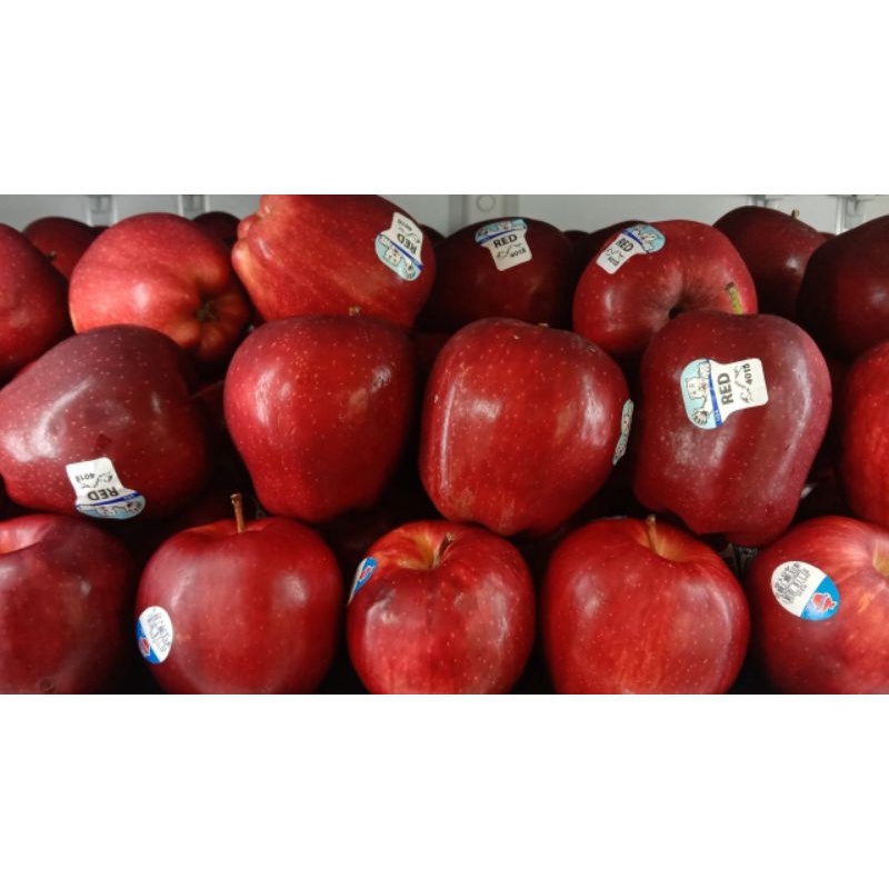 

Apel Red Delicious termurah di bekasi