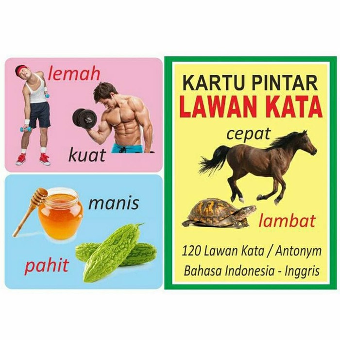 Kartu Pintar Lawan Kata Flash Card