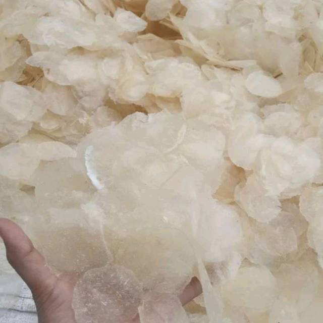 

KERIPIK KACA MENTAH 500 GR