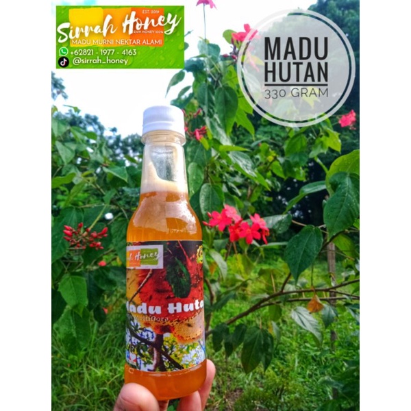 

Madu Odeng (Hutan Tasikmalaya)