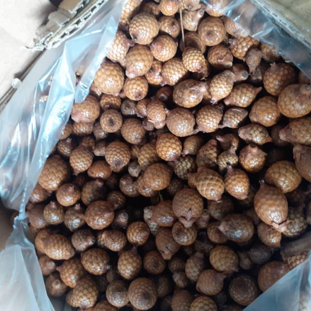 

Biji rotan biji rustic MINI ( KECIL )