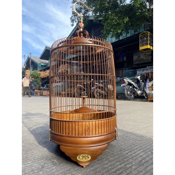 BRANJANGAN JATI CMS DM 38CM