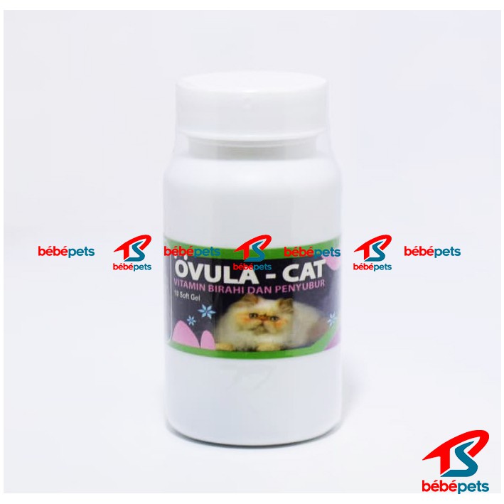 Obat Birahi Kucing - Ovula Cat
