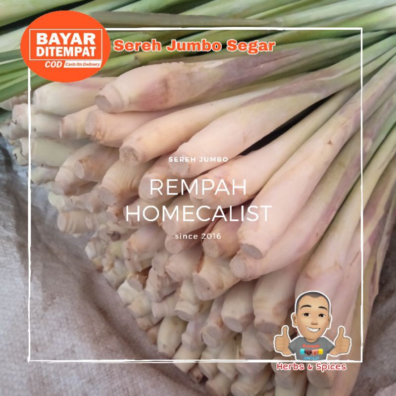 Sereh Segar 1kg Serai Jumbo