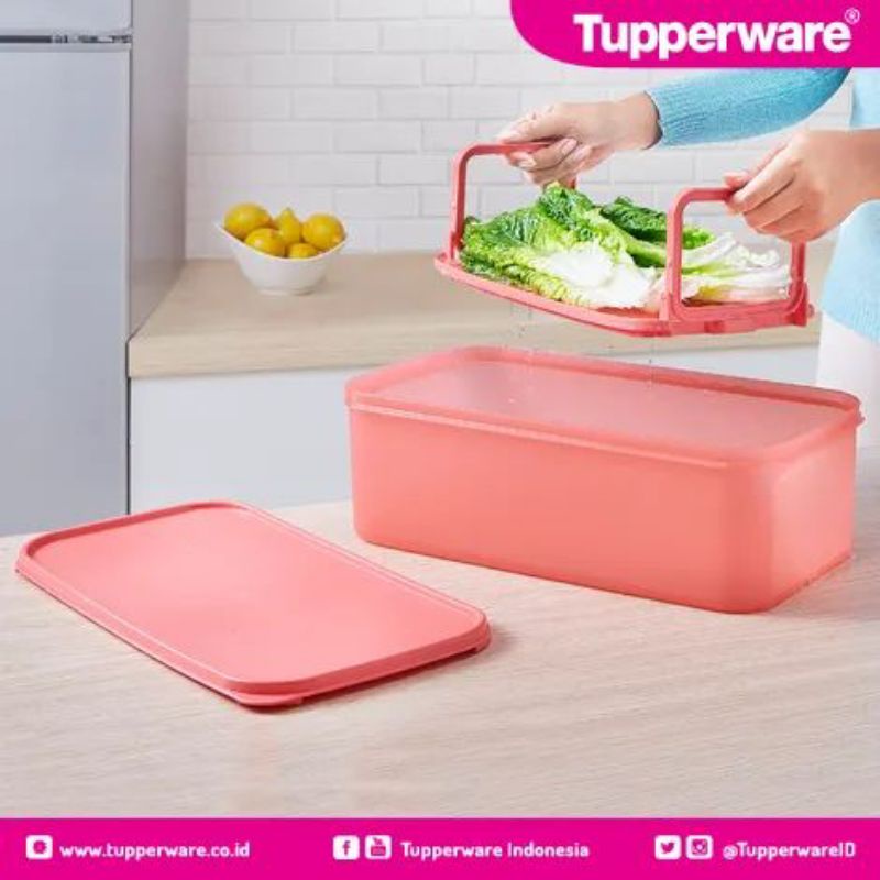 Guava Crisper Tupperware