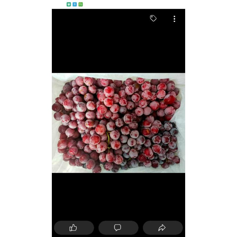 

anggur