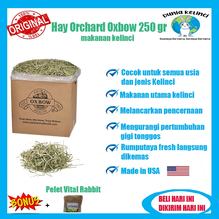 ORCHARD HAY OXBOW 250 GR MAKANAN KELINCI  GUINEA PIG MARMUT CHINCHILLA HAMSTER RUMPUT KERING JERAMI