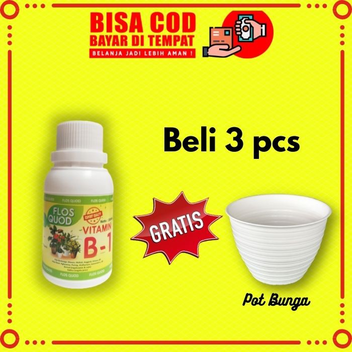 VITAMIN B1 UNTUK TANAMAN HIAS,PUPUK CAIR,PUPUK,VITAMIN AGLONEMA,PUPUK CAIR ANGGREK,FLOS QUOD