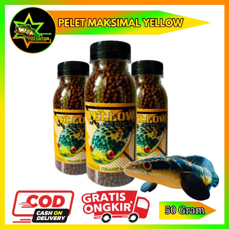 Pelet Booster Maksimal Original GFS Pakan Channa Ampuh