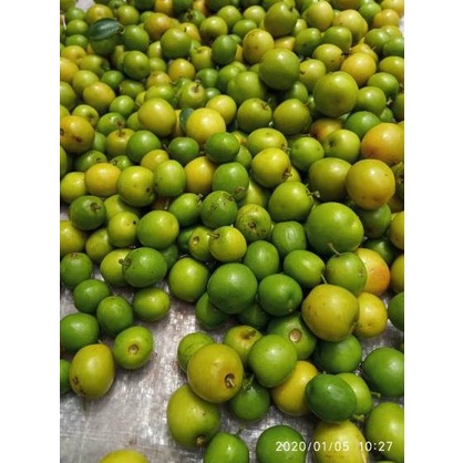 

⚡pecial 7.7buah segar bidara arab (TERMURAH)