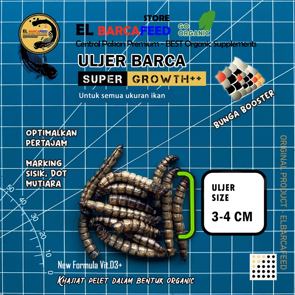 ULJER BARCA [SUPER GROWTH++] ULAT JERMAN 40gr BUNGA BOOSTER  - Pakan Pelet Ikan Channa, Koki, Arwana, Louhan, Koi &amp; ikan hias lainnya