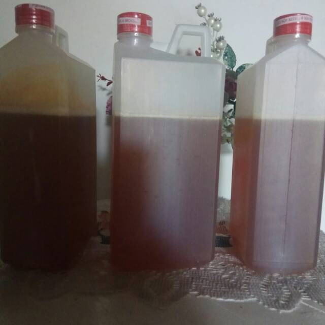 

Madu Hutan Murni dari Riau