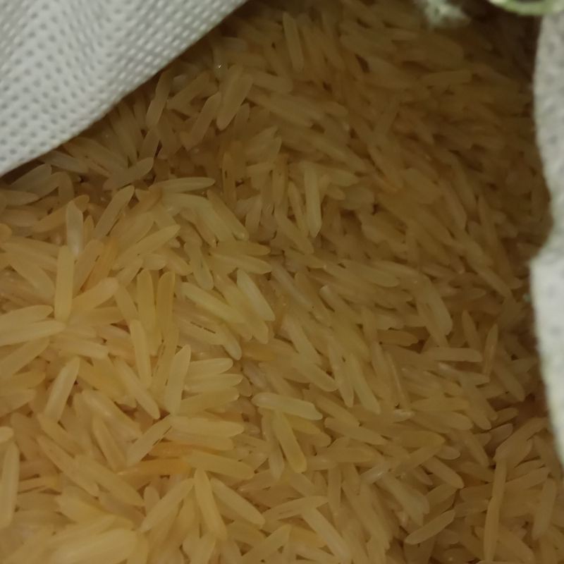 

Golden Sella Basmati - Rice Basmati - Beras Diet - Beras Diabetes (repack)