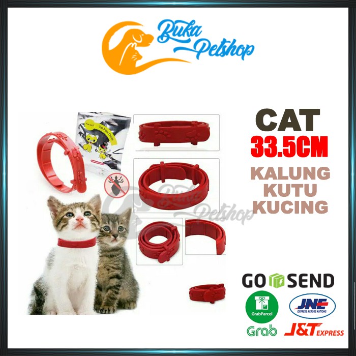 Kalung Kutu Kucing Murah FLEA COLLAR CAT