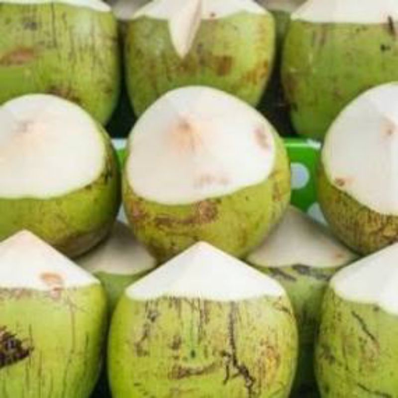 

Air Kelapa Muda Murni Per 1 Pcs