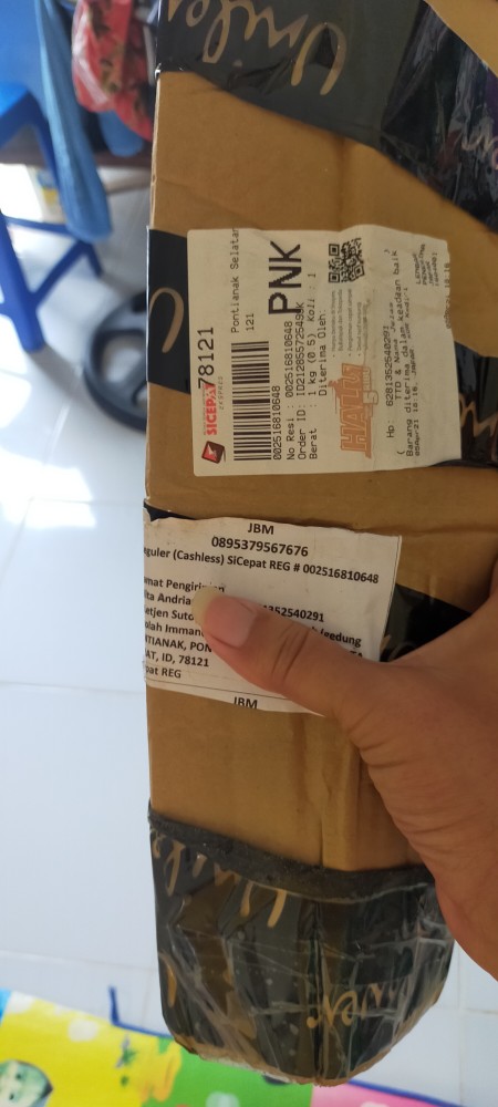 K0i Tanaman Bibit Buah Naga Orange