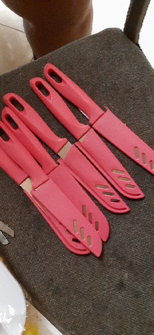 Pisau Dapur Buah Sayur Kecil Gagang Sarung Plastik