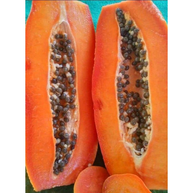 

PEPAYA CALIFORNIA MURAH SEGAR (1000-1300) GRAM