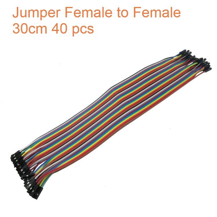 Kabel Jumper Cable Female to Female Dupoint 30cm 30 cm 40pcs 40 pcs