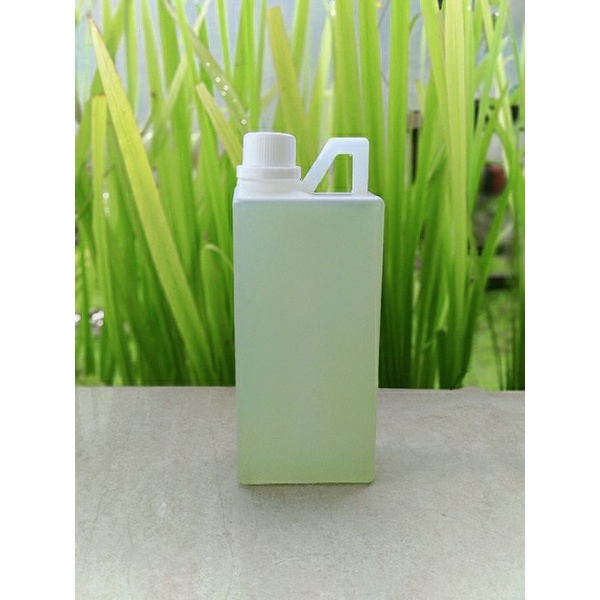 MINYAK KAYU PUTIH ASLI AMBON 1 Liter