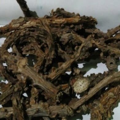 

Brotowali Kering 250 g (1/4 kg ) Jamu Herbal Brotowali