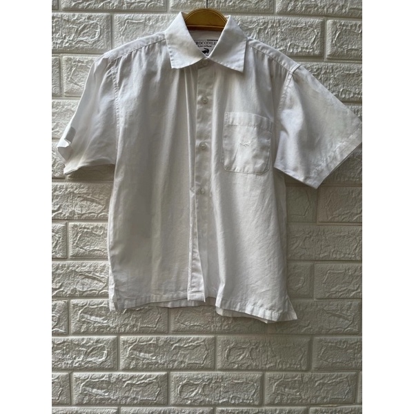 preloved kemeja putih anak crocodile