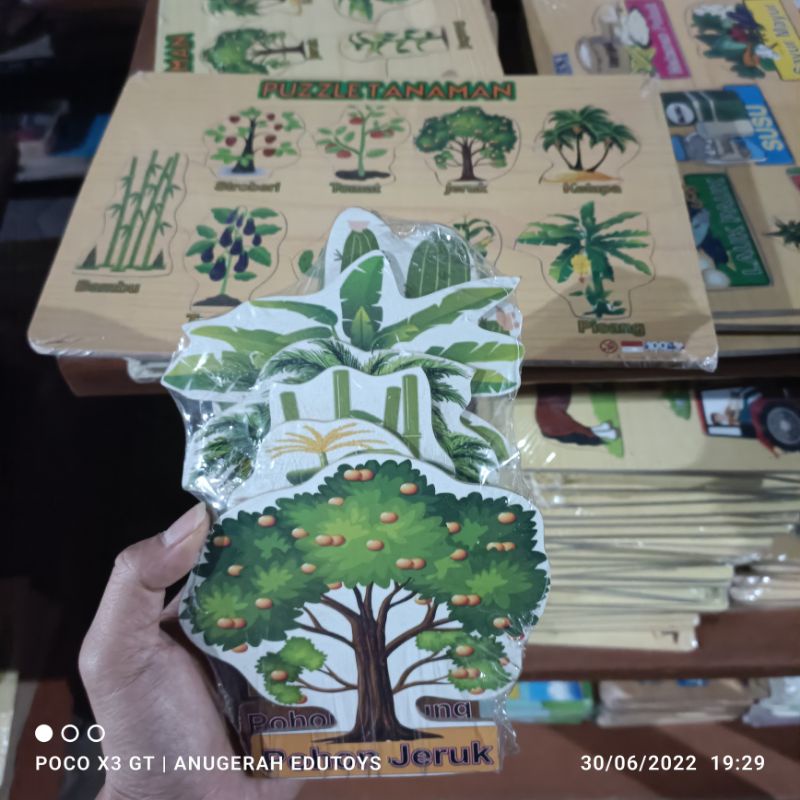 Maket Peraga Pohon, Pakon Pohon, Mainan edukasi Maket Pohon