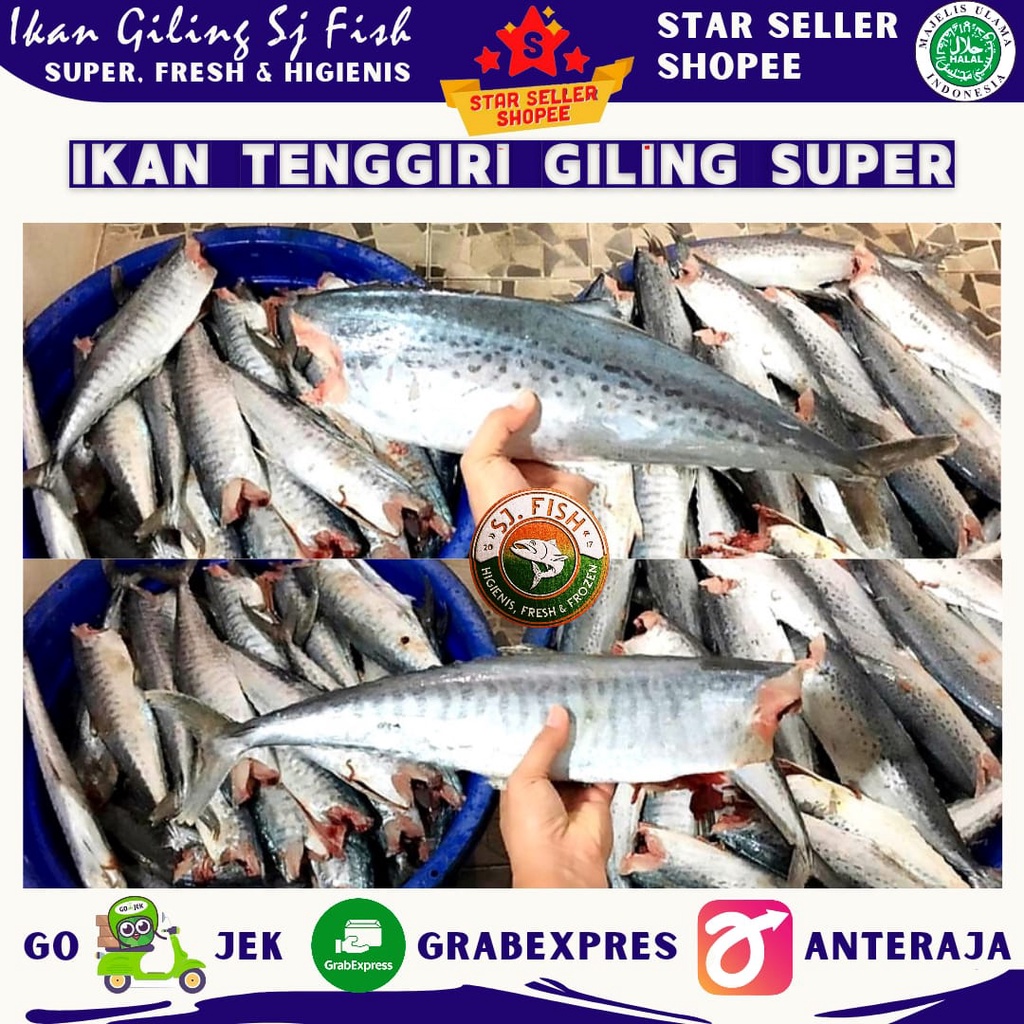 

DAGING TENGGIRI GILING SUPER