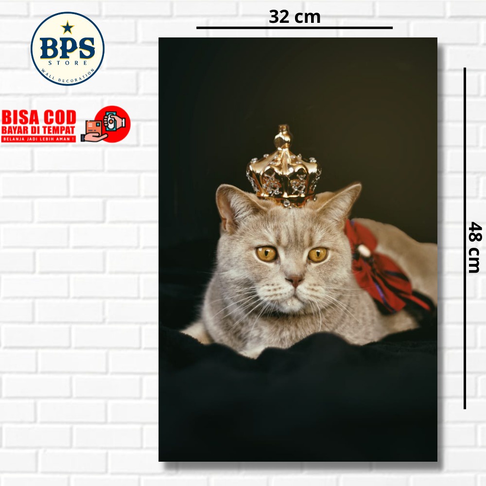 POSTER HEWAN KUCING - FOTO HEWAN KUCING  - POSTER HEWAN-WALLDECOOR - HIASAN DINDING - HIASAN KAMAR